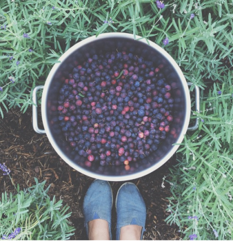 Almost certainly the best wines ever served in a parking lot, and other news.